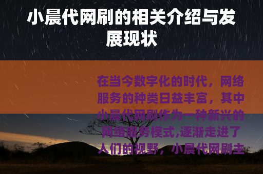 小晨代网刷的相关介绍与发展现状