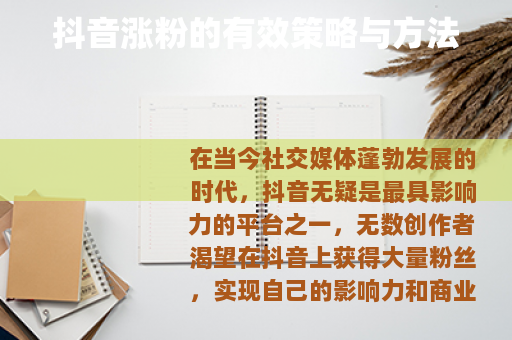 抖音涨粉的有效策略与方法