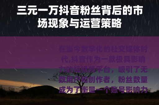 三元一万抖音粉丝背后的市场现象与运营策略