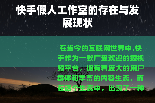 快手假人工作室的存在与发展现状