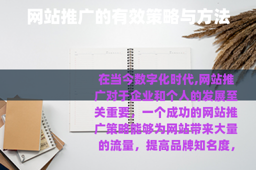 网站推广的有效策略与方法