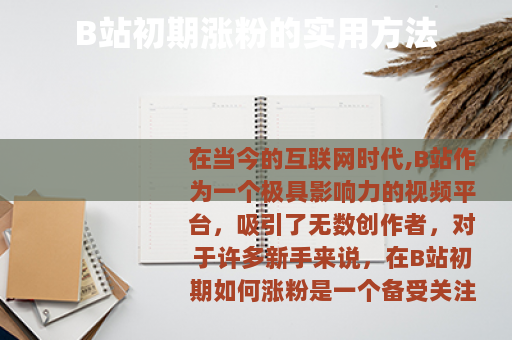 B站初期涨粉的实用方法