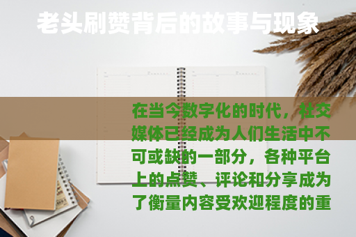 老头刷赞背后的故事与现象