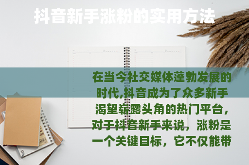 抖音新手涨粉的实用方法