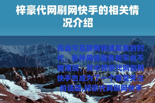 梓豪代网刷网快手的相关情况介绍