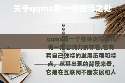 关于qqmz的一些独特之处