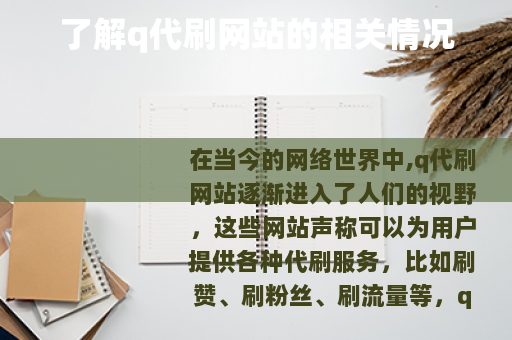 了解q代刷网站的相关情况
