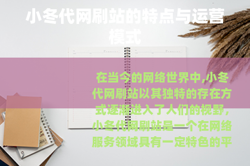 小冬代网刷站的特点与运营模式