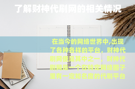 了解财神代刷网的相关情况