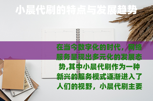 小晨代刷的特点与发展趋势