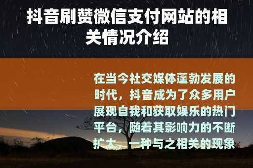 抖音刷赞微信支付网站的相关情况介绍