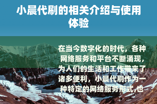 小晨代刷的相关介绍与使用体验