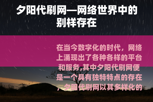 夕阳代刷网—网络世界中的别样存在
