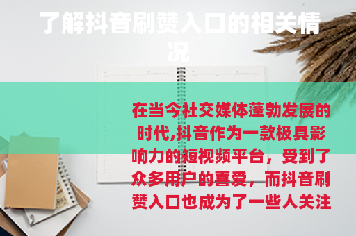了解抖音刷赞入口的相关情况