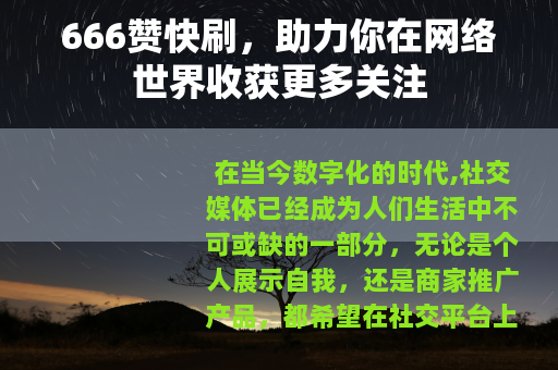 666赞快刷，助力你在网络世界收获更多关注