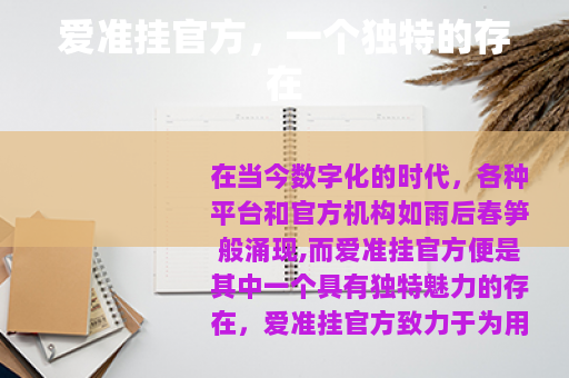 爱准挂官方，一个独特的存在
