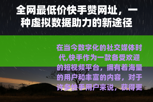 全网最低价快手赞网址，一种虚拟数据助力的新途径
