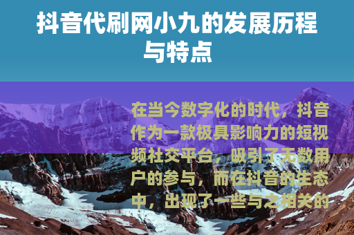 抖音代刷网小九的发展历程与特点