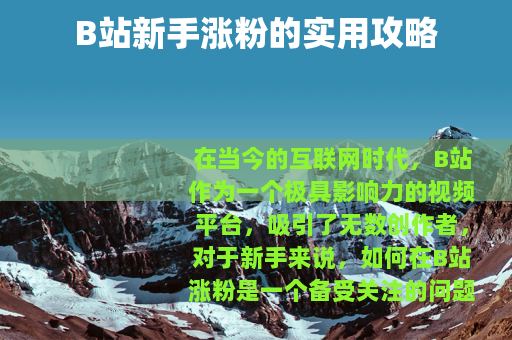 B站新手涨粉的实用攻略