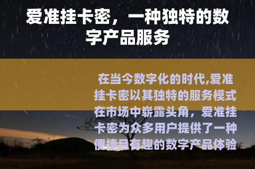 爱准挂卡密，一种独特的数字产品服务