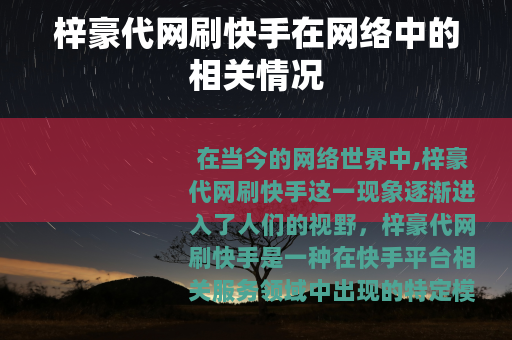 梓豪代网刷快手在网络中的相关情况