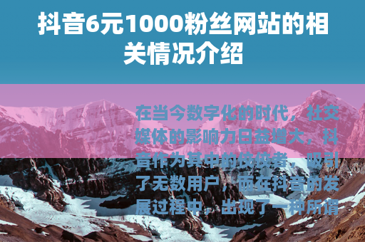 抖音6元1000粉丝网站的相关情况介绍