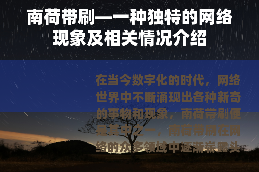 南荷带刷—一种独特的网络现象及相关情况介绍