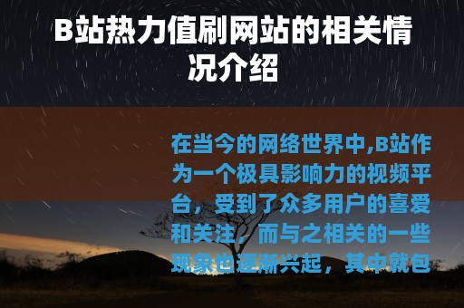 B站热力值刷网站的相关情况介绍