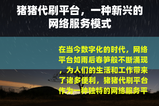 猪猪代刷平台，一种新兴的网络服务模式