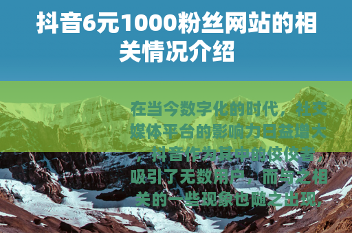 抖音6元1000粉丝网站的相关情况介绍