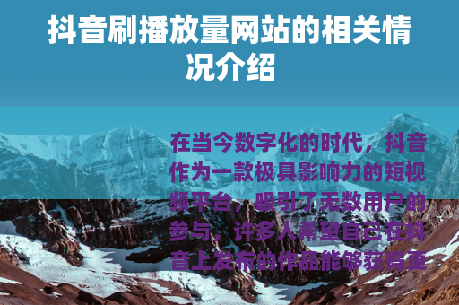 抖音刷播放量网站的相关情况介绍