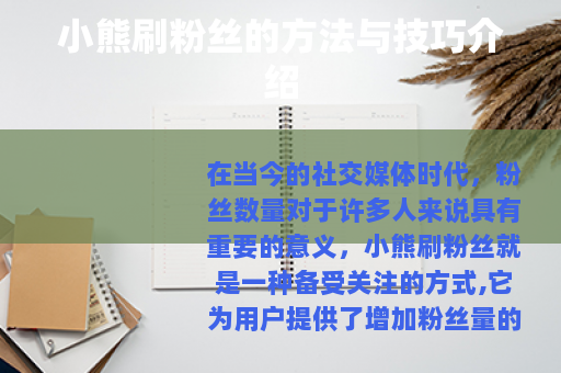 小熊刷粉丝的方法与技巧介绍