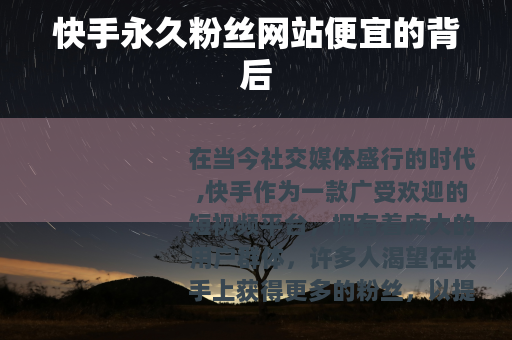 快手永久粉丝网站便宜的背后