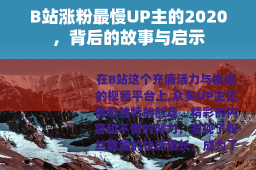 B站涨粉最慢UP主的2020，背后的故事与启示