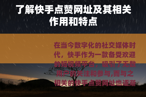 了解快手点赞网址及其相关作用和特点