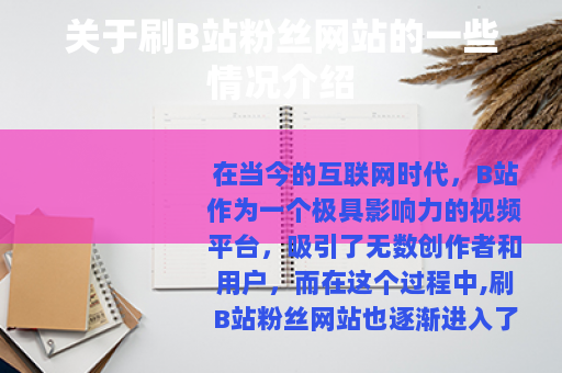 关于刷B站粉丝网站的一些情况介绍