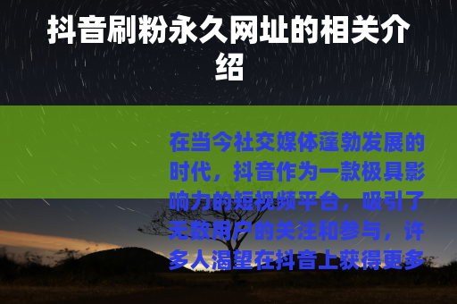 抖音刷粉永久网址的相关介绍