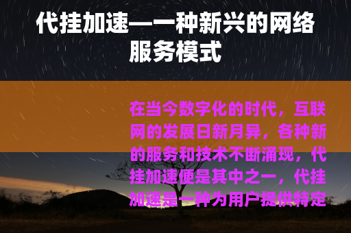 代挂加速—一种新兴的网络服务模式