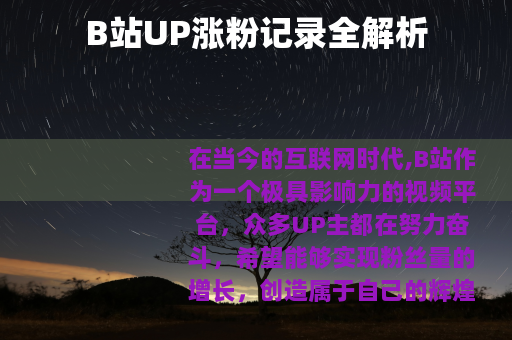B站UP涨粉记录全解析