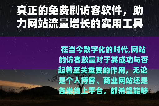 真正的免费刷访客软件，助力网站流量增长的实用工具