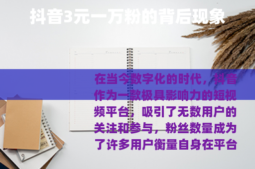 抖音3元一万粉的背后现象