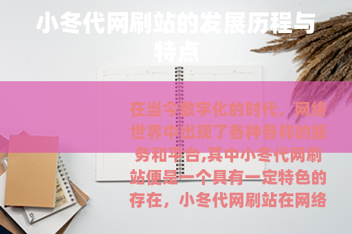 小冬代网刷站的发展历程与特点
