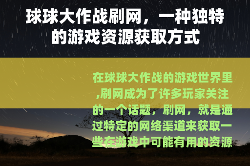 球球大作战刷网，一种独特的游戏资源获取方式