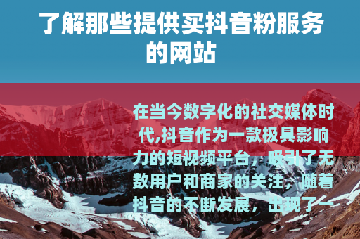 了解那些提供买抖音粉服务的网站