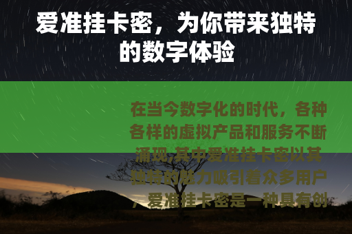 爱准挂卡密，为你带来独特的数字体验