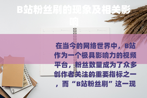 B站粉丝刷的现象及相关影响