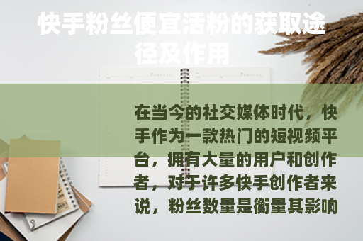 快手粉丝便宜活粉的获取途径及作用