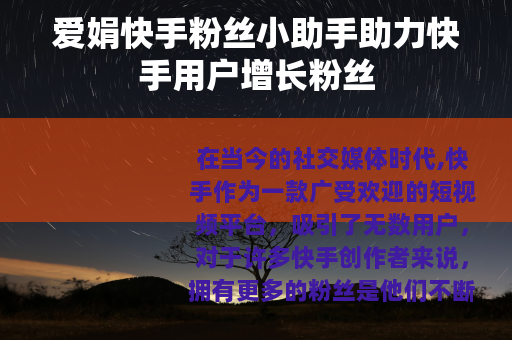 爱娟快手粉丝小助手助力快手用户增长粉丝