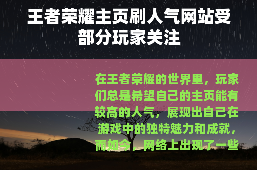 王者荣耀主页刷人气网站受部分玩家关注