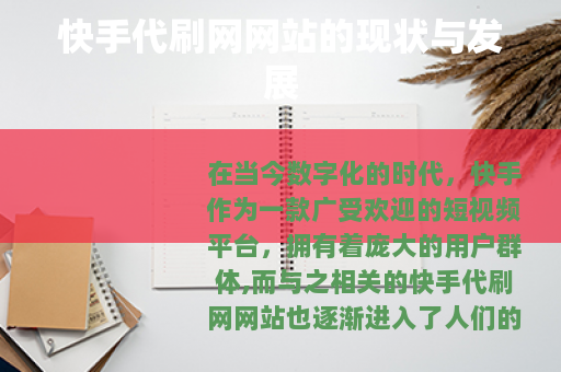 快手代刷网网站的现状与发展